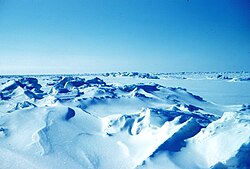 Sea ice pressure ridges in the Beaufort Sea off the northern coast of Alaska (spring 1949).