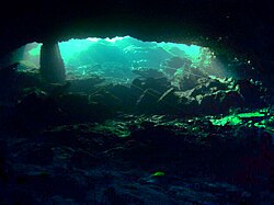 Entrance to Peacock Springs Cave System