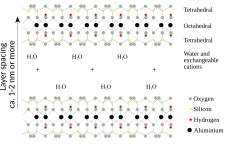 Structure of montmorillonite
