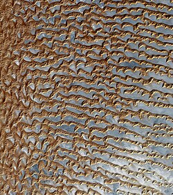Rub' al Khali (Arabian Empty Quarter) sand dunes imaged by Terra (EOS AM-1). Most of these dunes are seif dunes. Their origin from barchans is suggested by the stubby remnant "hooks" seen on many of the dunes. Wind would be from left to right.