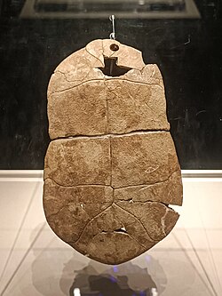 Jiahu symbols written on tortoise shells, such as the eye symbol in the bottom-right, are regarded as a form of proto-writing[11]