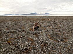 Partially melted and collapsed lithalsas (heaved mounds found in permafrost) have left circle-like structures on the Svalbard Archipelago.