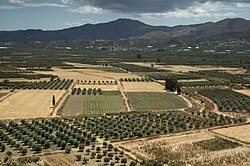 View of Messara from the hill of Phaestus, Greece