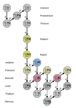 The decay chain of uranium-238, known as the uranium series or radium series, of which polonium-210 is a member