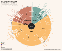 Graphic showing MoMA's holdings by identity groups such as gender, geography, and nationality (2023)