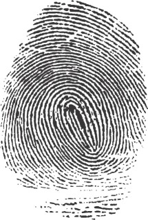 A fingerprint