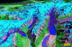 These glaciers in New Zealand have continued to retreat rapidly in recent years. Notice the larger terminal lakes, the retreat of the white ice (ice free of moraine cover), and the higher moraine walls due to ice thinning. Photo.