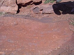 Megaripple/dune, formed in the upper flow regime, from Utah