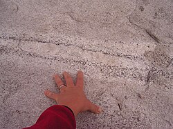 Metasomatic albite + hornblende + tourmaline alteration of metamorphosed granite, Stone Mountain, Atlanta