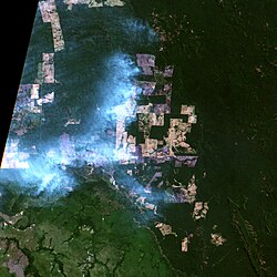 Agricultural fires in southern Pará, Brazil in August 2019.