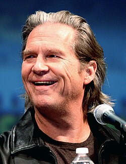 Bridges in 2009