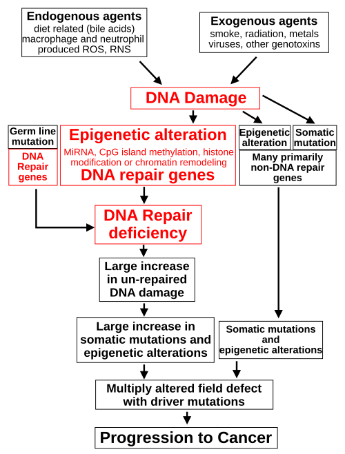 The central role of DNA damage and epigenetic defects in DNA repair genes in carcinogenesis