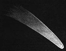 The Great Comet of 1811, as drawn by William Henry Smyth