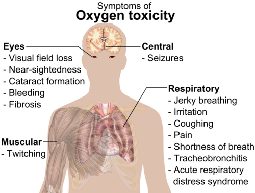A diagram showing a male torso and listing symptoms of oxygen toxicity: Eyes – visual field loss, nearsightedness, cataract formation, bleeding, fibrosis; Head – seizures; Muscles – twitching; Respiratory system – jerky breathing, irritation, coughing, pain, shortness of breath, tracheobronchitis, acute respiratory distress syndrome.