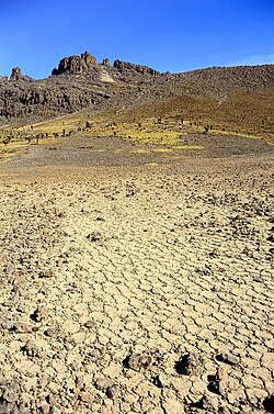 A blockfield around 4000m on Mount Kenya