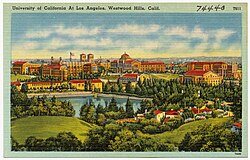 Postcard c. 1930 to 1945 of the new Westwood campus