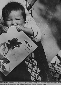 Ojibwe baby waits on a cradleboard while parents tend wild rice crops (Minnesota, 1940).