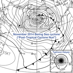 Comparison between extratropical and tropical cyclones on surface analysis