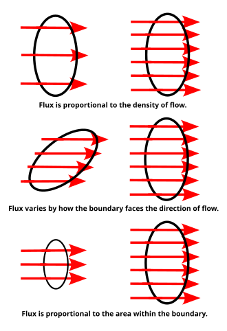 The flux visualized. The rings show the surface boundaries. The red arrows stand for the flow of charges, fluid particles, subatomic particles, photons, etc. The number of arrows that pass through each ring is the flux.