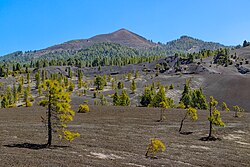 Pico Birigoyo is the northernmost of the high volcanic peaks along the Cumbre Vieja