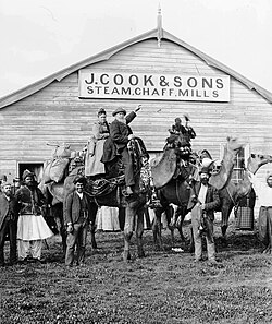 Cameleers with visitors, c.1891