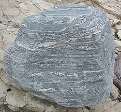 Migmatite on the coast of Saaremaa, Estonia
