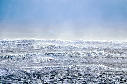 Cyanobacteria are found almost everywhere. Sea spray containing marine microorganisms, including cyanobacteria, can be swept high into the atmosphere where they become aeroplankton, and can travel the globe before falling back to earth.[20]