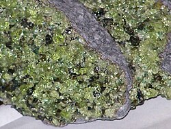 Mantle-peridotite xenolith from San Carlos Indian Reservation, Gila Co., Arizona, US. The xenolith is dominated by green peridot olivine, together with black orthopyroxene and spinel crystals, and rare grass-green diopside grains. The fine-grained gray rock in this image is the host basalt.(unknown scale).