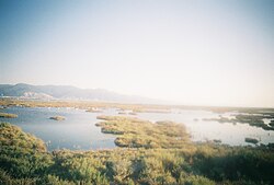 Photograph of a flat landscape with low vegetation and ponds. There is a flock of water birds and hills in the background.