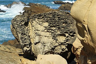 Tafoni at Salt Point State Park, Sonoma County, California.