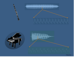 Timbre perception, showing how a sound changes over time. Despite a similar waveform, differences over time are evident.