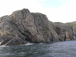 Cliff section through near-vertically dipping ptygmatically folded migmatites. Dalradian sequence south of Teelin, County Donegal, Ireland.