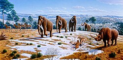 The Late Pleistocene saw extinctions of numerous predominantly megafaunal species, coinciding in time with the early human migrations across continents.[196]