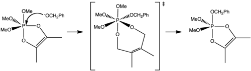 Mechanism of the base catalyzed alcoholysis of pentacoordinated phosphorus