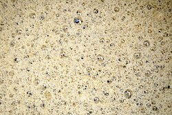 Bubbles of carbon dioxide forming during beer-brewing[9]