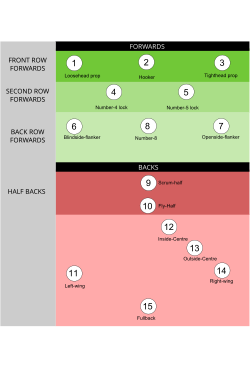 A standard rugby union team formation illustrating each of the positions and their respective numbers