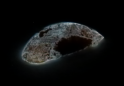 White phosphorus exposed to air glows in the dark.