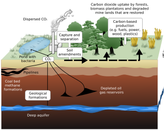 Geologic and biologic carbon sequestration of excess carbon dioxide in the atmosphere emitted by human activities[1]