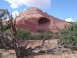 Wind-eroded alcove near Moab, Utah
