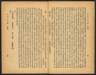 Pages of the novel Huatu yuan (translated into English as A Destiny in Two Paintings), collection of the Harvard-Yenching Library