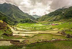 The Batad rice terraces, The Rice Terraces of the Philippine Cordilleras, the first site to be included in the UNESCO World Heritage List cultural landscape category in 1995.[36]