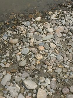 Pebbles on a riverbank