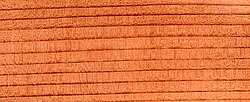 The wood of coast redwood is distinctively red.
