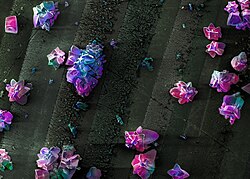 Indium phosphide nanocrystalline surface obtained by electrochemical etching and viewed under scanning electron microscope. Artificially colored in image post-processing.