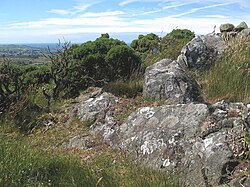 Igneous rock releases silicic acid which emits hydrogen ions, lowering the pH of the surrounding soil.