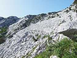 Glaciokarst features at Reovačka greda, Mount Orjen
