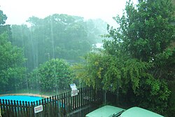 Torrential rain in Ballina: 280mm of rain in 24 hours