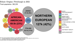 Ethnic origins in Pittsburgh