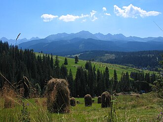 View of Tatry from Bukowina Tatrzańska, Poland
