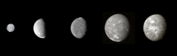 Major moons of Uranus in order of increasing distance (left to right), at their proper relative sizes and albedos. From left to right, they are Miranda, Ariel, Umbriel, Titania, and Oberon. (collage of Voyager 2 photographs)